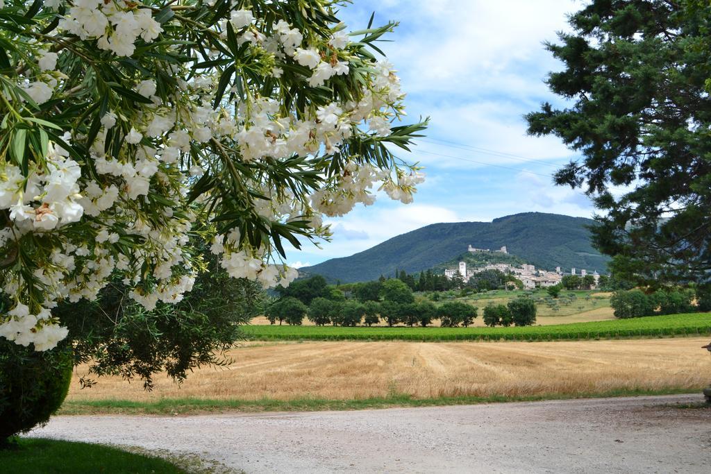 Camere I Monelli Assisi Dış mekan fotoğraf