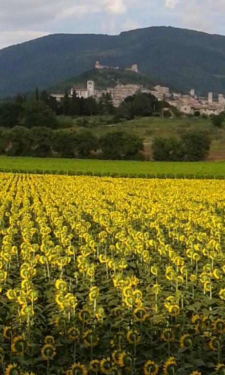Camere I Monelli Assisi Dış mekan fotoğraf