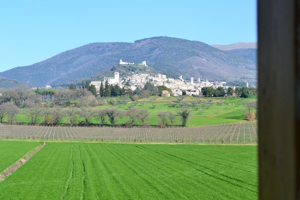 Camere I Monelli Assisi Dış mekan fotoğraf